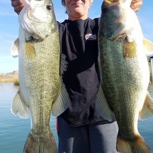 Meet your Posher, Dan